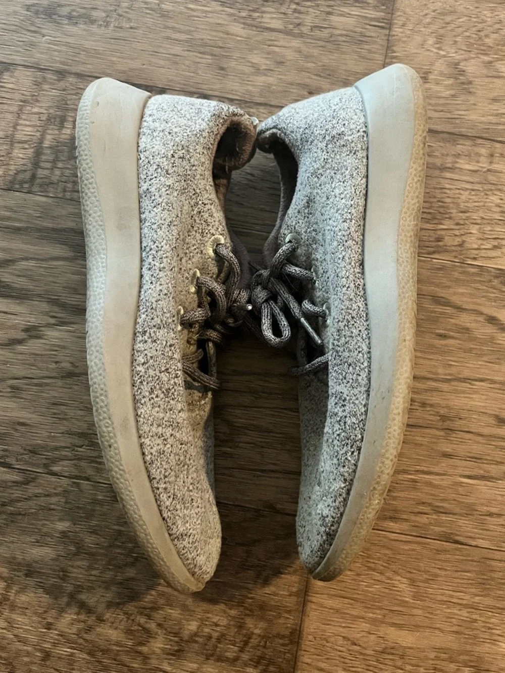 allbirds used see
